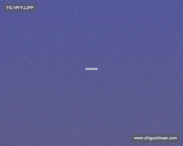 齐鲁竞界再谱新篇